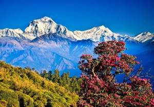 тур в Непал