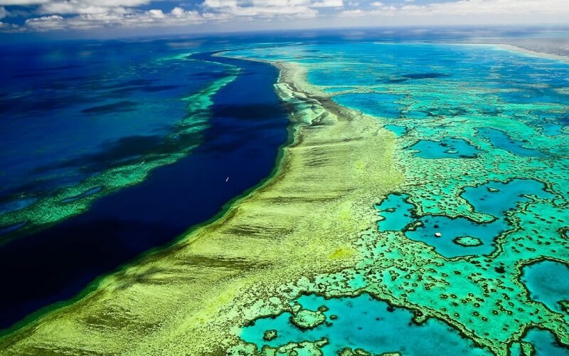 Великий Бар'єрний риф, Австралія