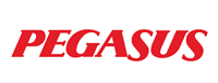 Pegasus Airlines — Авіакомпанія Пегасус