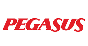 Pegasus лого