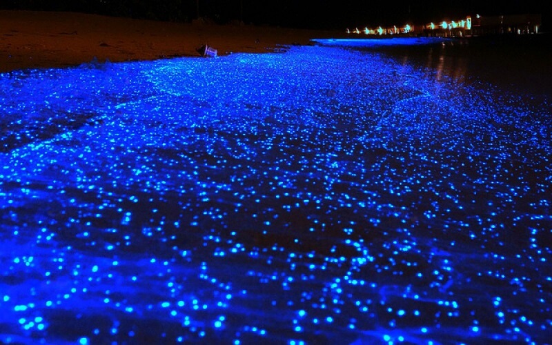 Светящийся пляж на Мальдивах