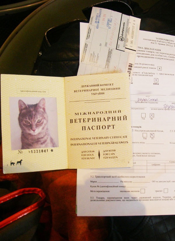 Ветеринарний паспорт